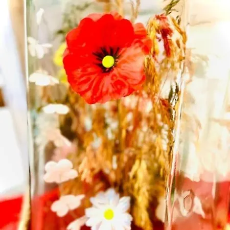 Maison Neuve A 10 Minutes De La فيلة *