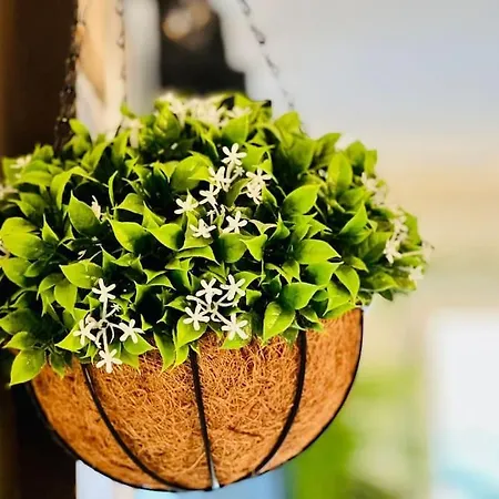 فيلة Maison Neuve A 10 Minutes De La Herbignac