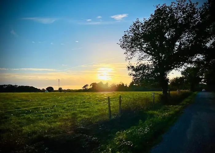 Villa Maison Neuve A 10 Minutes De La Herbignac