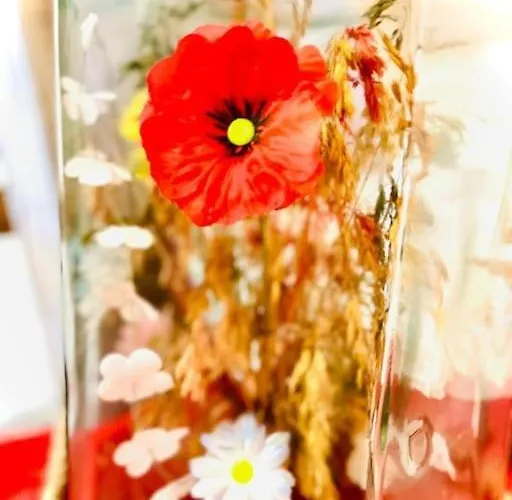 Maison Neuve A 10 Minutes De La Villa *