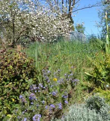 Maison Neuve A 10 Minutes De La Herbignac